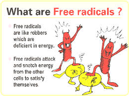free radicals 2
